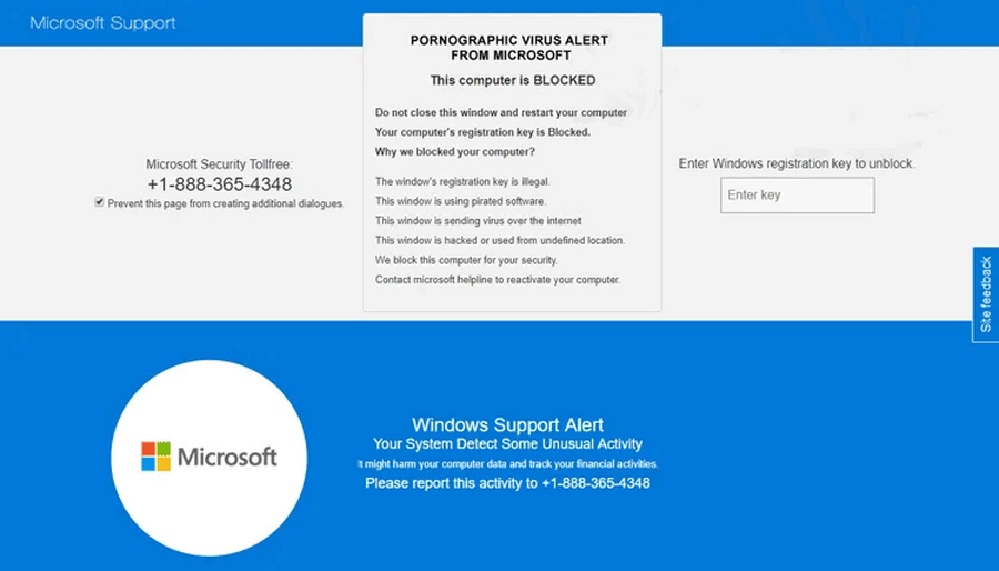 Pornographic Virus Alert from Microsoft popup