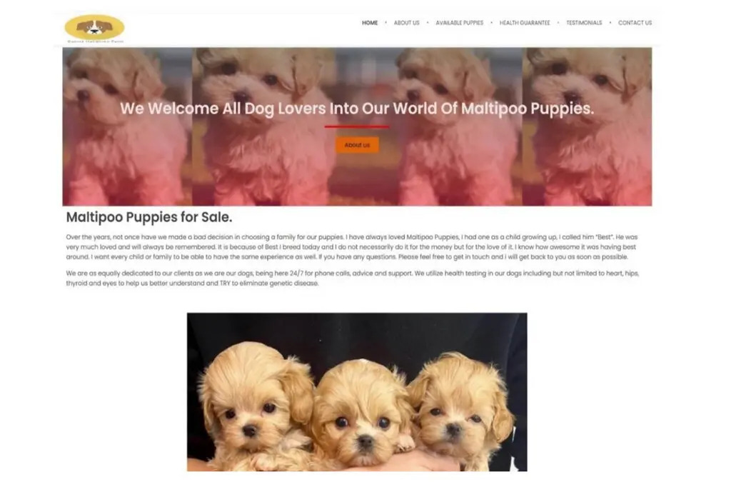 Google will sue puppy fraud scammer